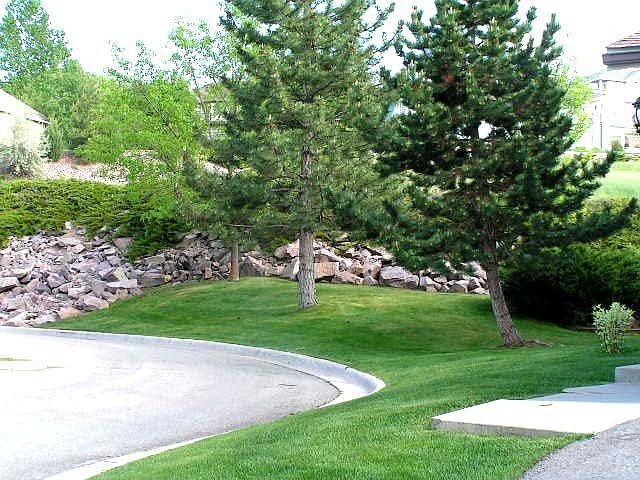 Cul de sac common area