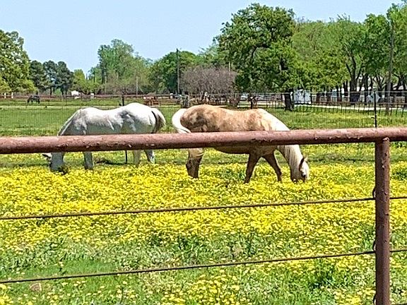 2nd image of 10145 Friendship Rd