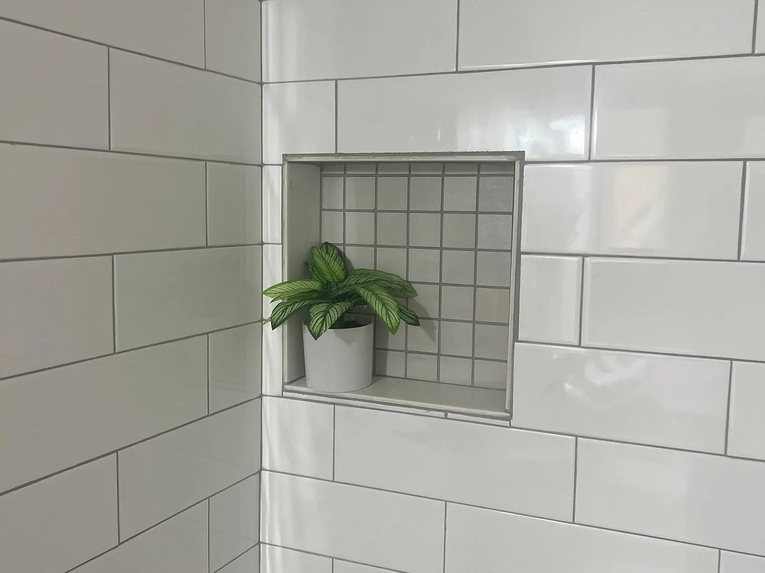 1 bed, 470 sqft, $900 — Photo 4