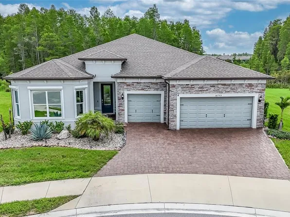 18793 HORIZON VIEW POINT, LAND O LAKES, FL 34638