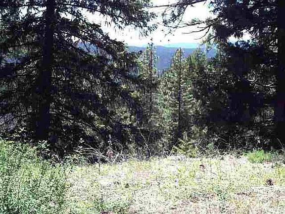 3rd image of 2601 Meadow View Ln