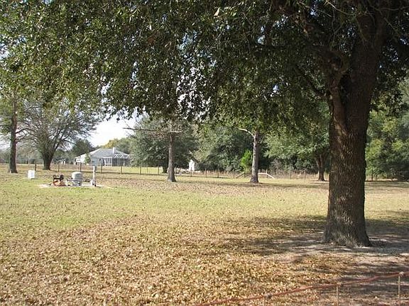 Back pasture