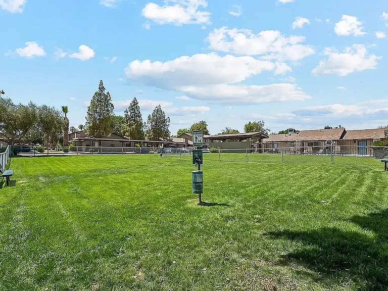 Pet-Friendly Perks at Camelot Apartments in Yuma, Arizona