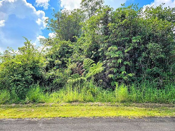 4th image of Haumalu St Lot 100