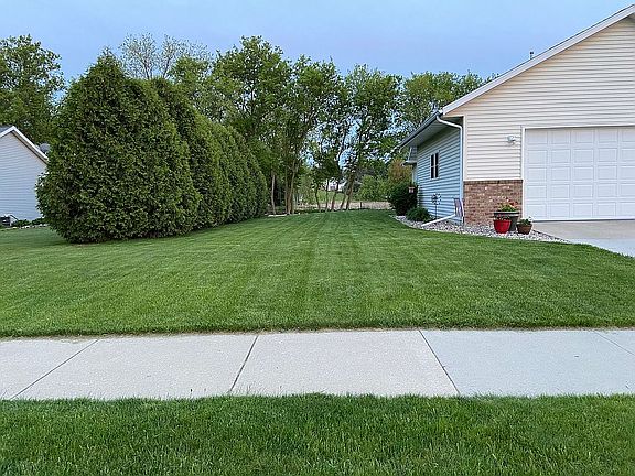 Lot includes row of pines