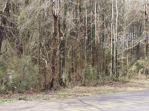 2nd image of County Road 298