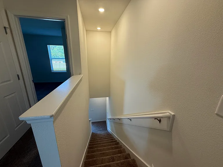 159 Palm Row — Photo 16