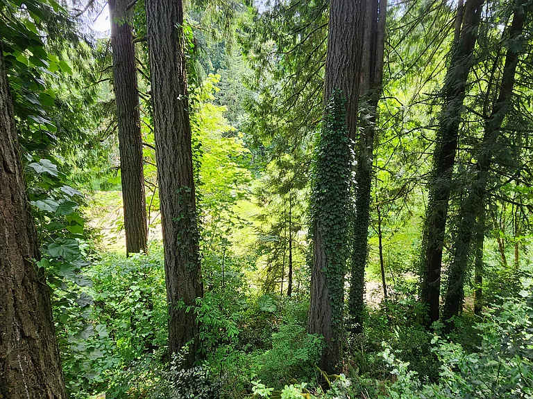 18314 NW Logie Trail Rd — Photo 5