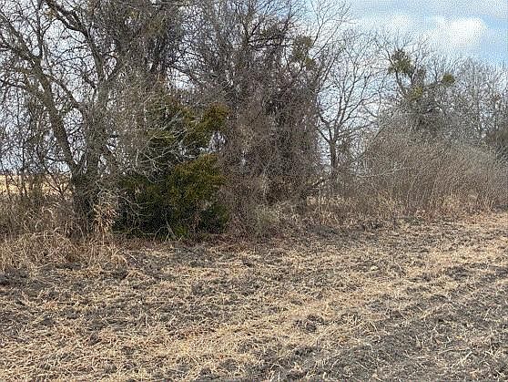 1st image of County Road 3061 Hwy Lot 2