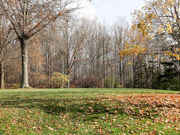5th image of 541 Sawmill Run Dr