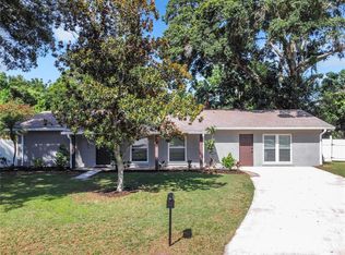 1201 Branda Vista Dr, Brandon, FL 33510