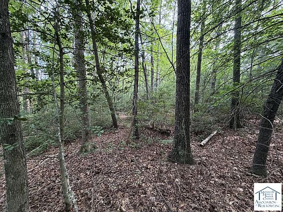 5th image of 0 Deer Creek Run