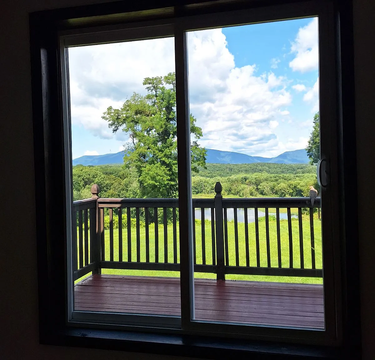 1 bed, 500 sqft, $1,650 — Photo 1