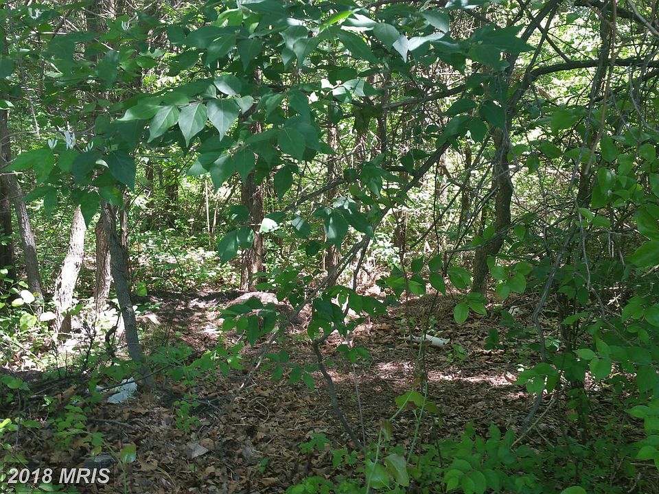 2nd image of 4005 Sanders Ln