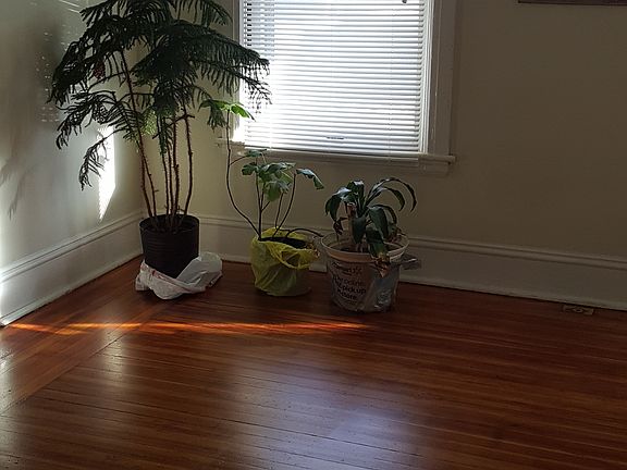 Large Living room