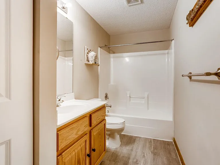Lower level bathroom