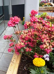 Rented by Oxford Property Group