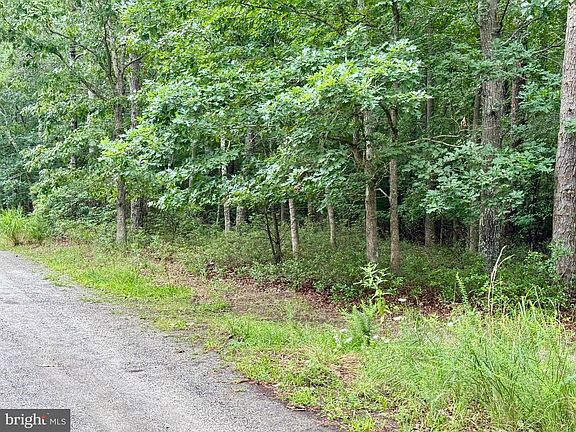 2nd image of 0 Pinewood Dr