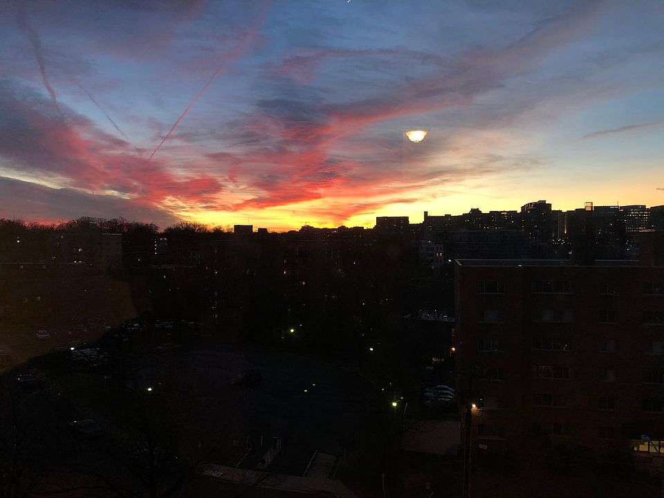 actual view from our windows