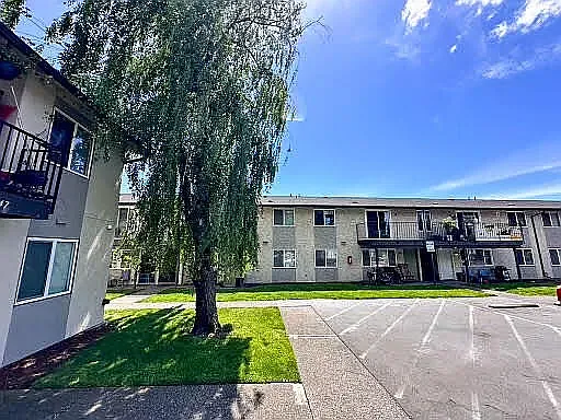 Casita Villa Apartments — Photo 24