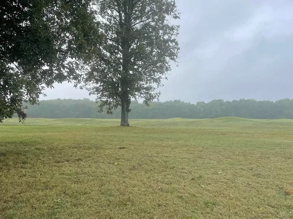 Torrey Pines Dr, Ledbetter, KY 42058