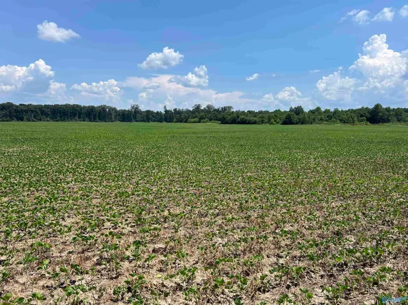 County Road 125, Moulton, AL 35650