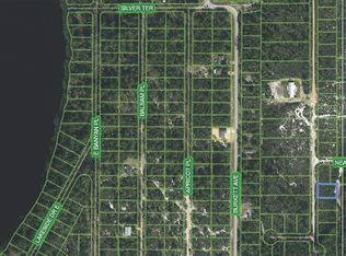6708 Dian Ave, Sebring, FL 33875