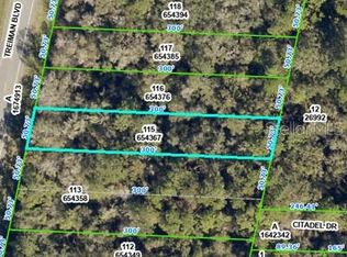 8388 Treiman Blvd #115, Webster, FL 33597