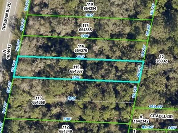 8388 Treiman Blvd #115, Webster, FL 33597