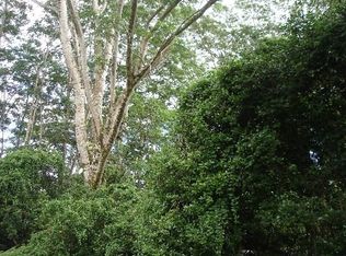 N Hinalo St, Pahoa, HI 96778