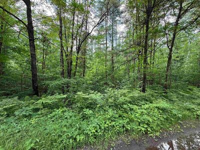 0 Pokegama Dr, Minocqua, WI, 54548