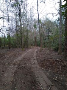 000 Old Kiln Rd Rd, Picayune, MS, 39466