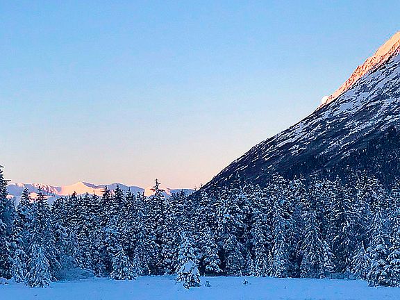 Winter view/back meadow
