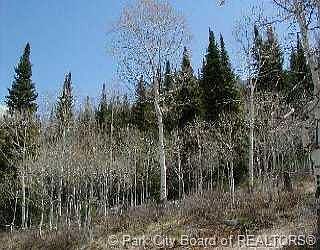 1st image of Sugar Pine Dr #654