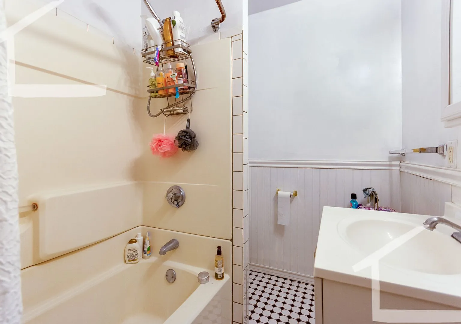 Nicely renovated 4 bed for the upcoming school year! — Photo 1