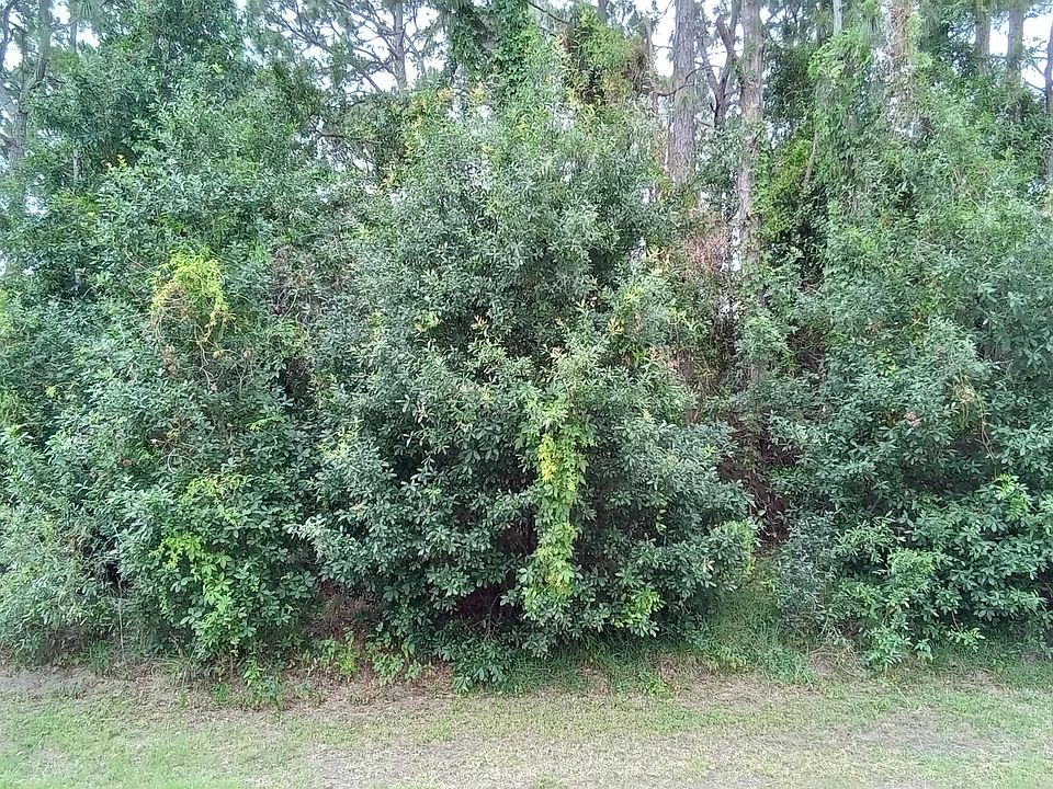 1st image of Pace Dr NW