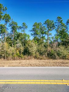 397 Coralvine Dr, Chipley, FL, 32428