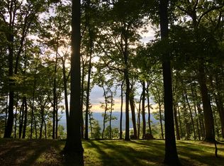 94 Running Ridge Rd, Asheville, NC 28804