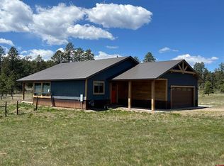 236 Arrowhead Dr, Pagosa Springs, CO 81147