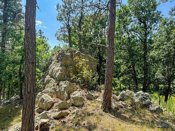 5th image of TRACT Campfire Three Meadows Rd