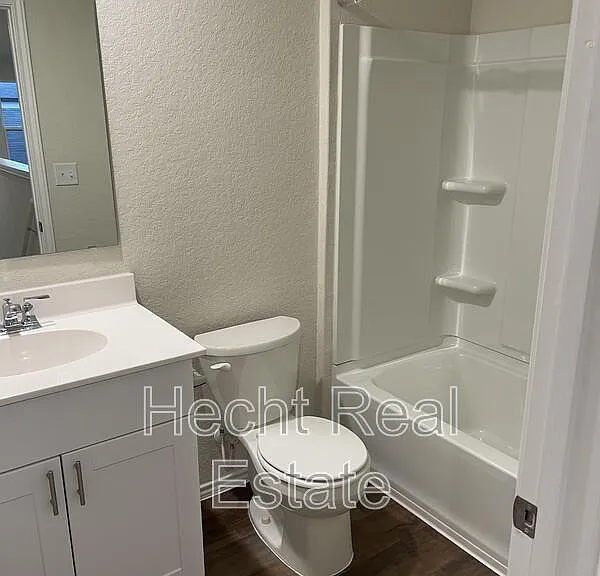 451 Forsythia — Photo 32