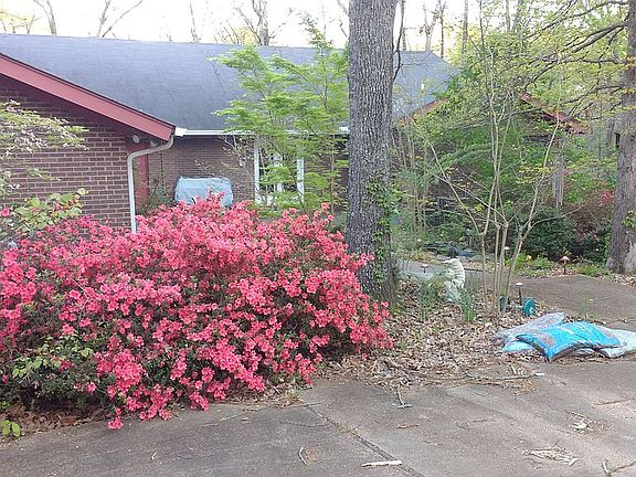 3rd image of 215 Bell Meade Dr