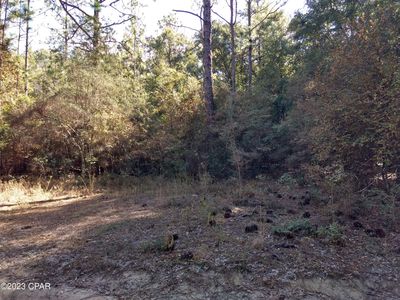 0 Little John Ln, Bonifay, FL, 32425