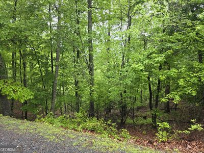 937 Myna Dr, Ellijay, GA, 30540