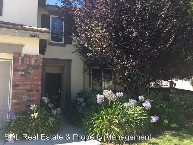 2nd image of 36684 Ranch House St