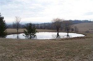 2nd image of 194 Hartman Rd