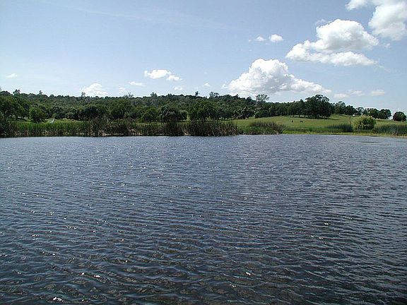 5th image of 1416 Lakeside Dr #0