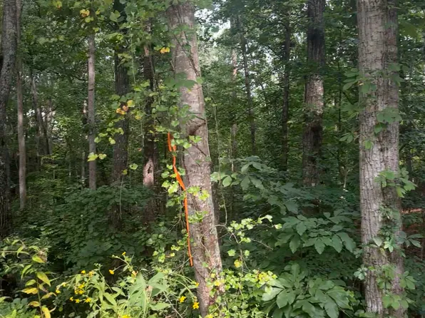 0 Crooked O Trl, Gainesville, GA 30506