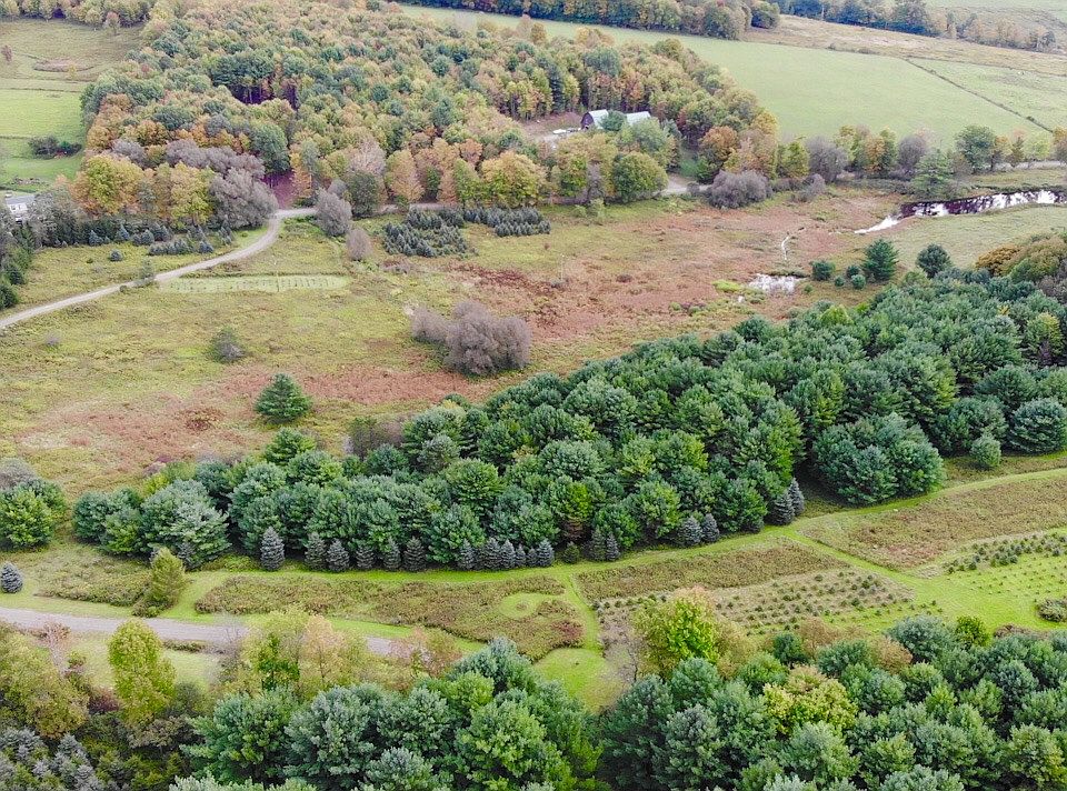 Overhead driveway approach