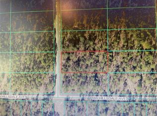 NW Smallwood Rd LOT 20, Dunnellon, FL 34431